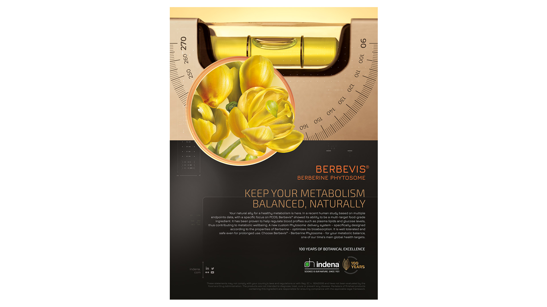 berbevis-visualizzazione-adv-lg-us-ok-2