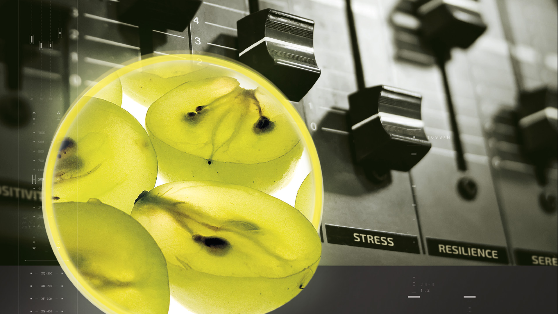 Enovita<sup>®</sup> Organic