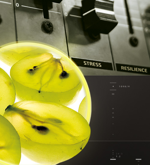 Enovita<sup><sup>®</sup></sup> Organic ADV