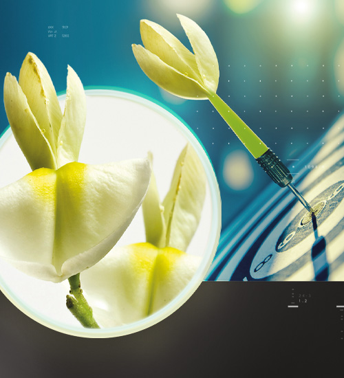 Quercefit<sup><sup>®</sup></sup> Immunity ADV