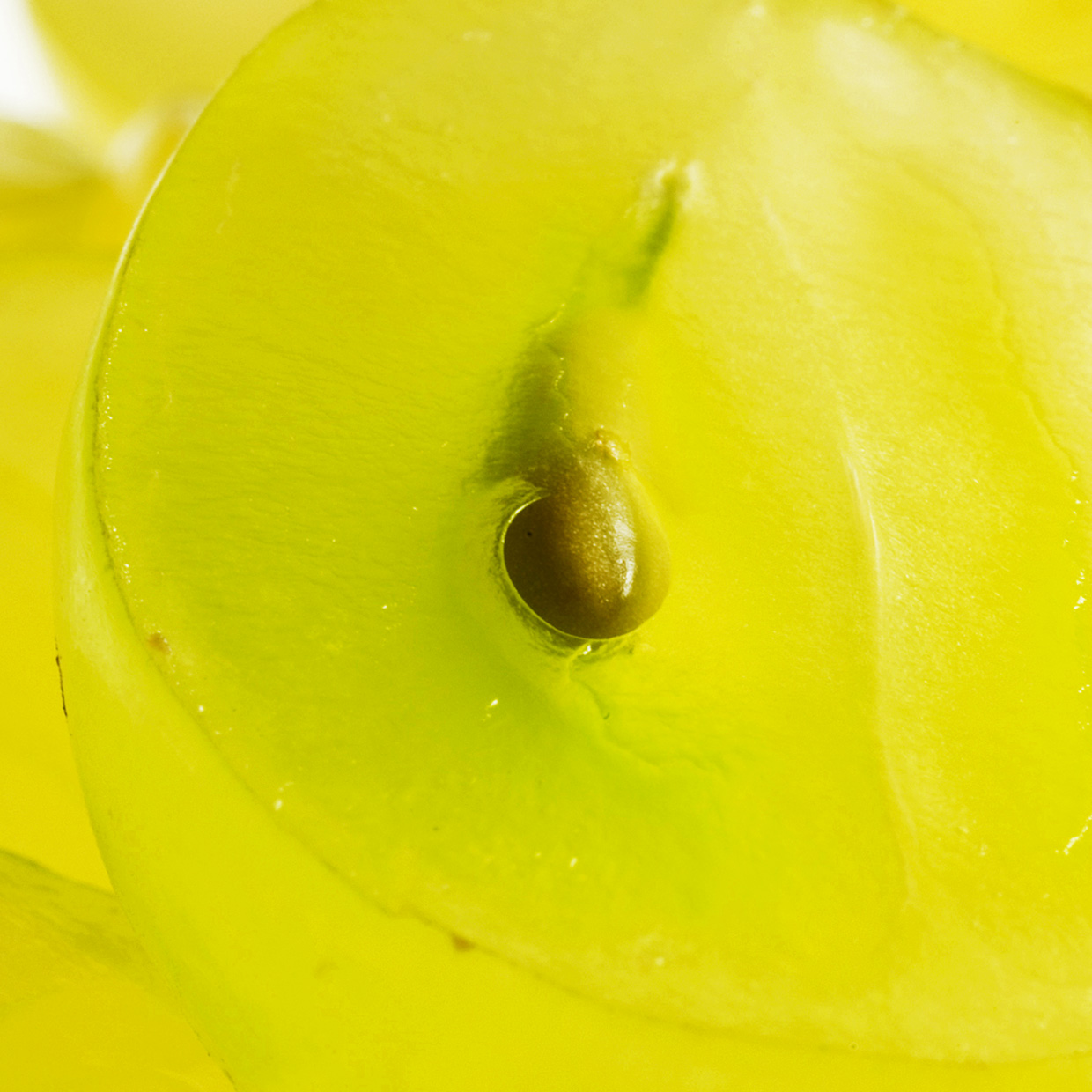 ストレスレジリエンスを自然に向上させる