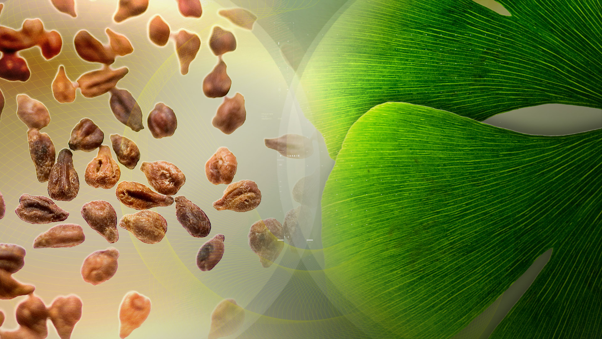 BOOST YOUR MENTAL HEALTH