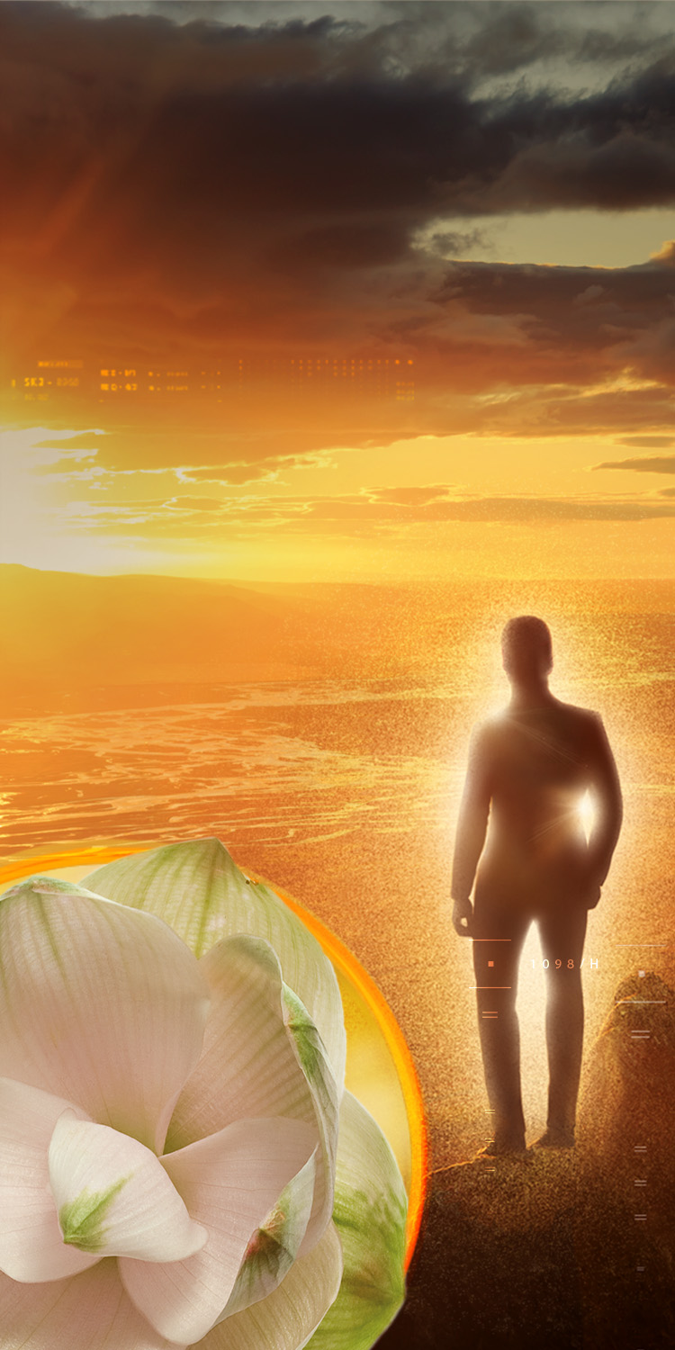 MERIVA<sup>®</sup> – Indena’s Curcumin Phytosome<sup>®</sup>: a natural and safe help for body detox