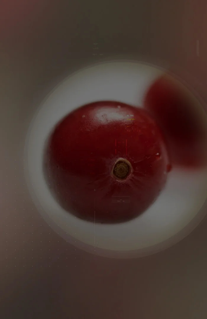 Anthocran<sup>®</sup> Phytosome<sup>®</sup>: cranberry extract for urinary tract health