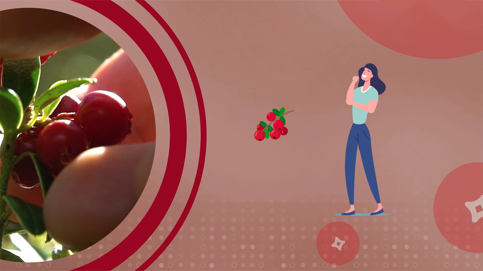 Anthocran<sup>&reg;</sup> Phytosome<sup>&reg;</sup><strong><em>Shed new light on urinary tract health</em></strong>