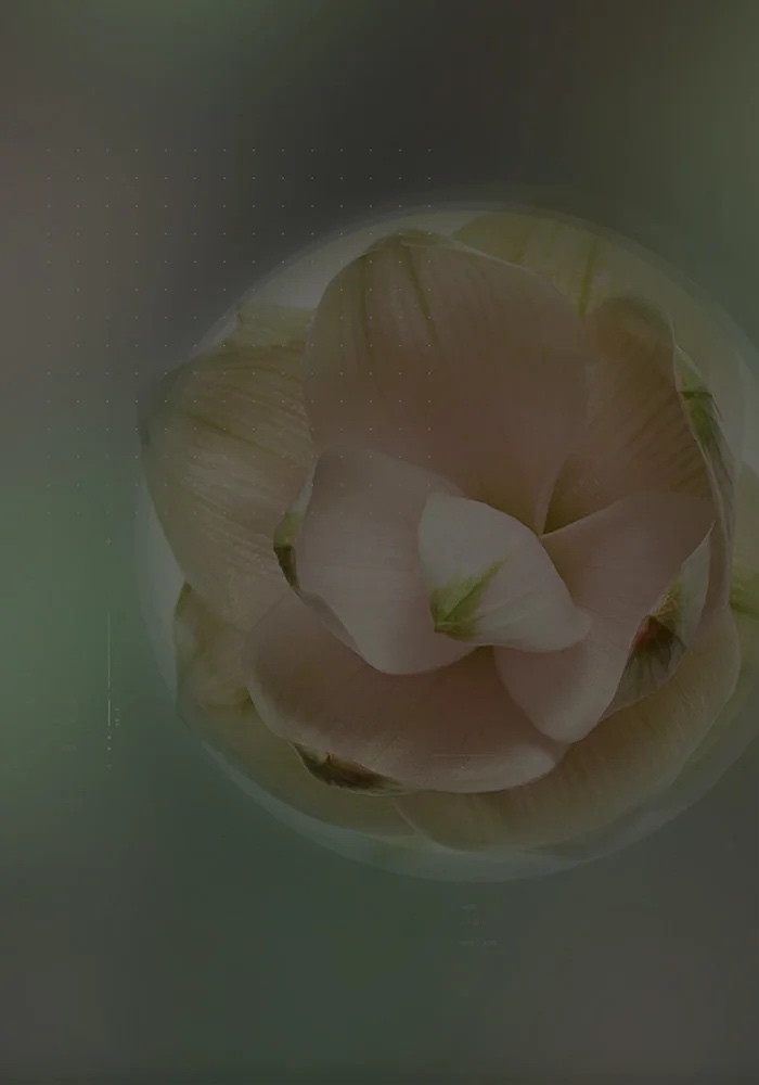 Adult health and active lifestyle: Meriva<sup>®</sup> can make a difference