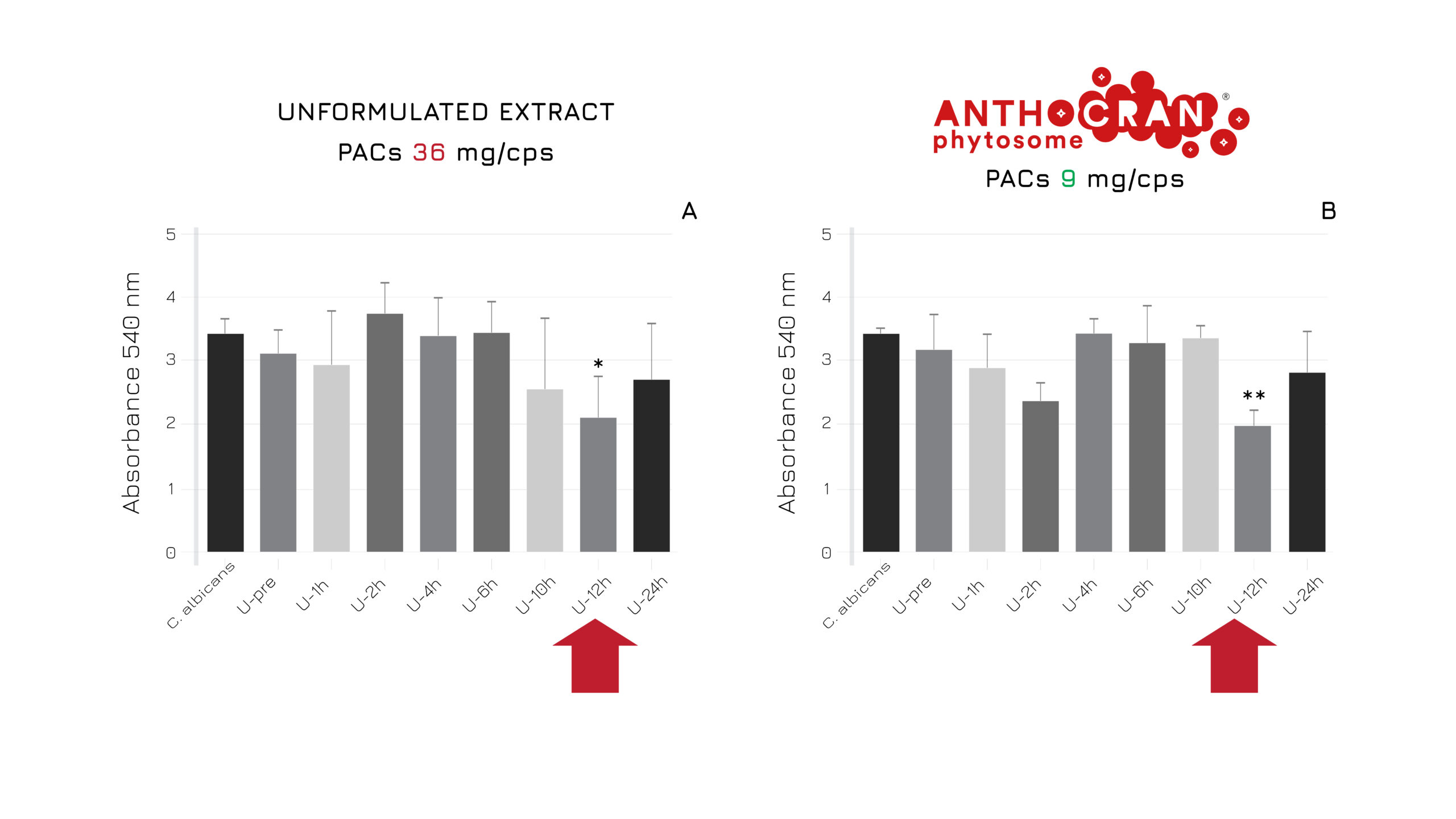 anthocran-phytosome-01