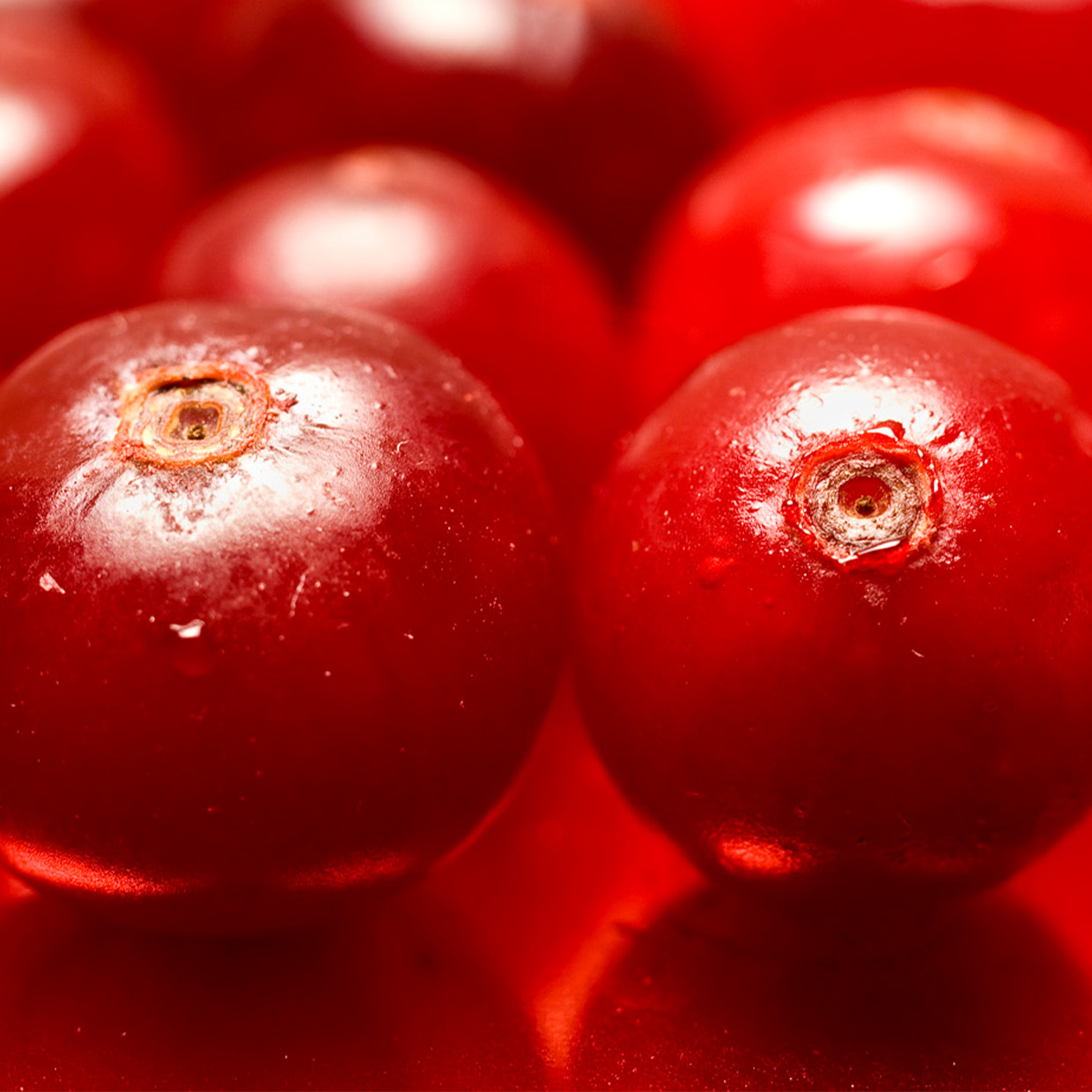 Anthocran<sup>®</sup> Phytosome<sup>®</sup> into action