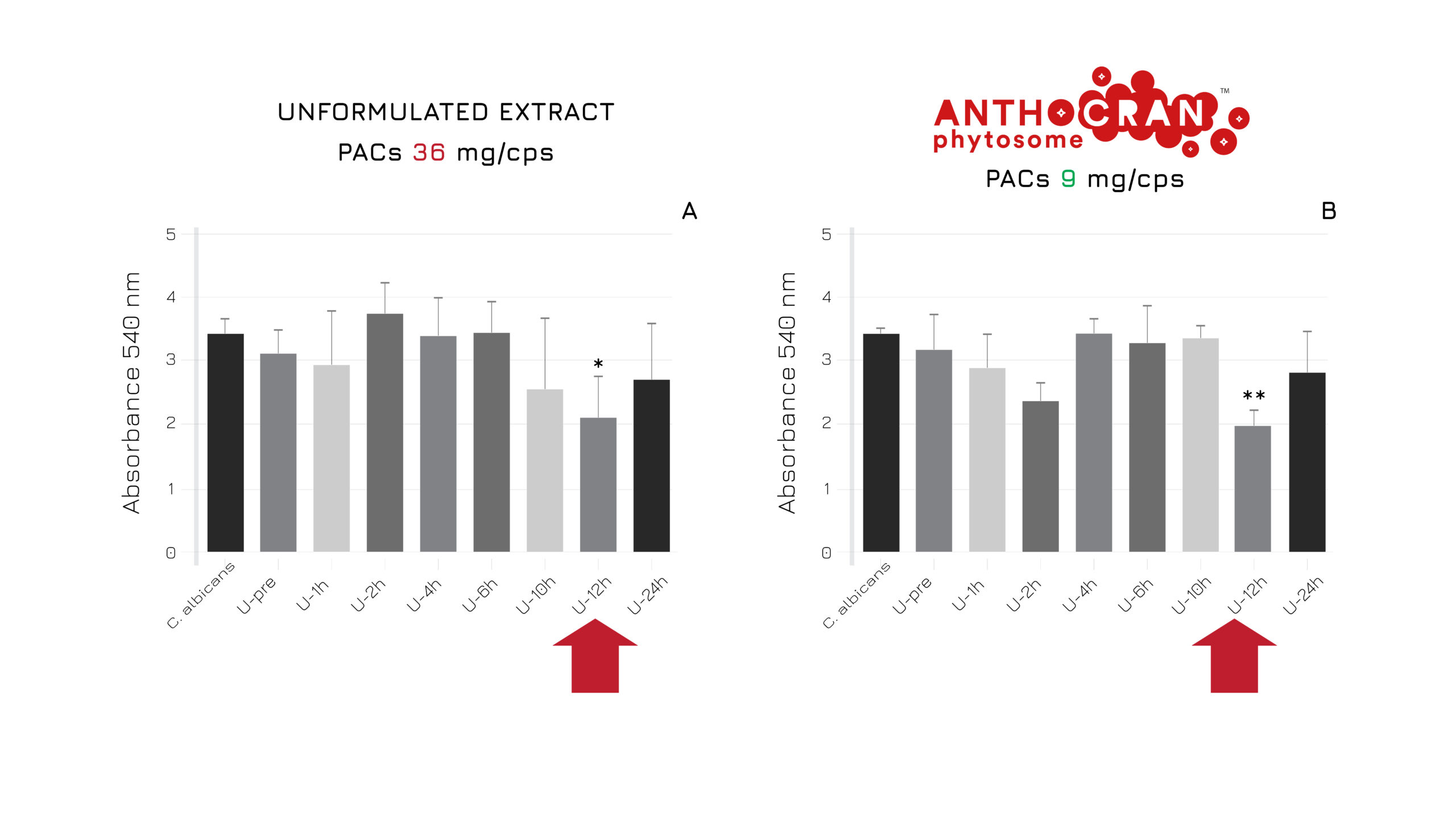anthocran-phytosome-03-us