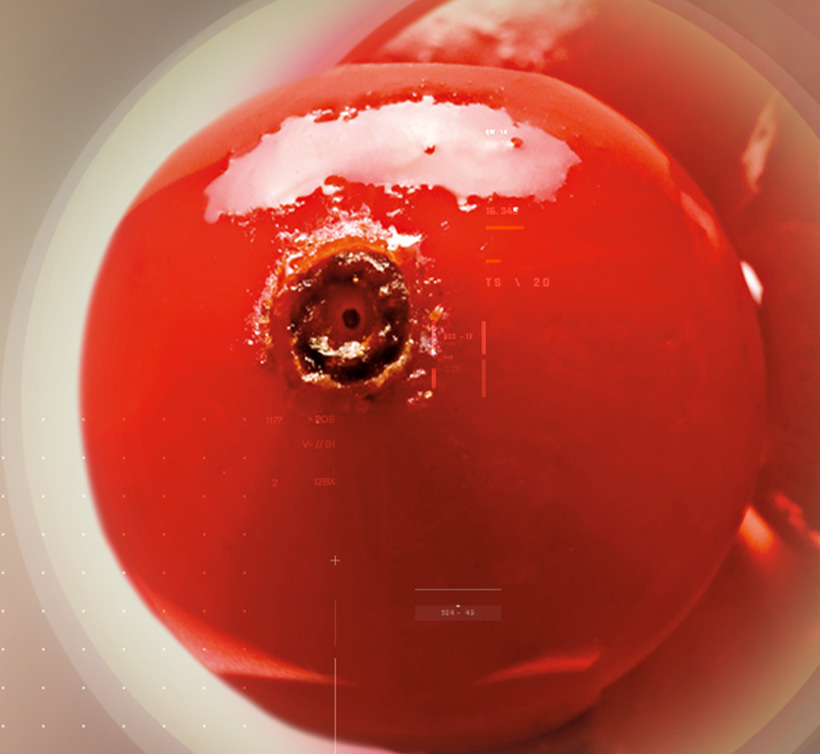 Anthocran<sup>®</sup> Phytosome<sup>®</sup>