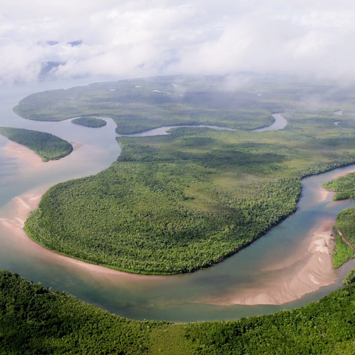 Innovation comes from Nature