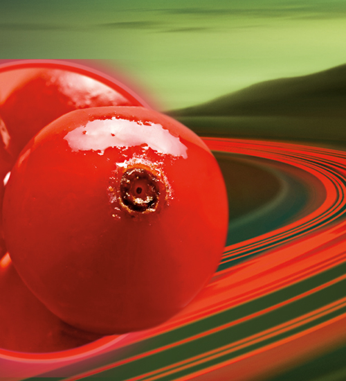 Anthocran<sup><sup>®</sup></sup> Phytosome<sup><sup>®</sup></sup> ADV