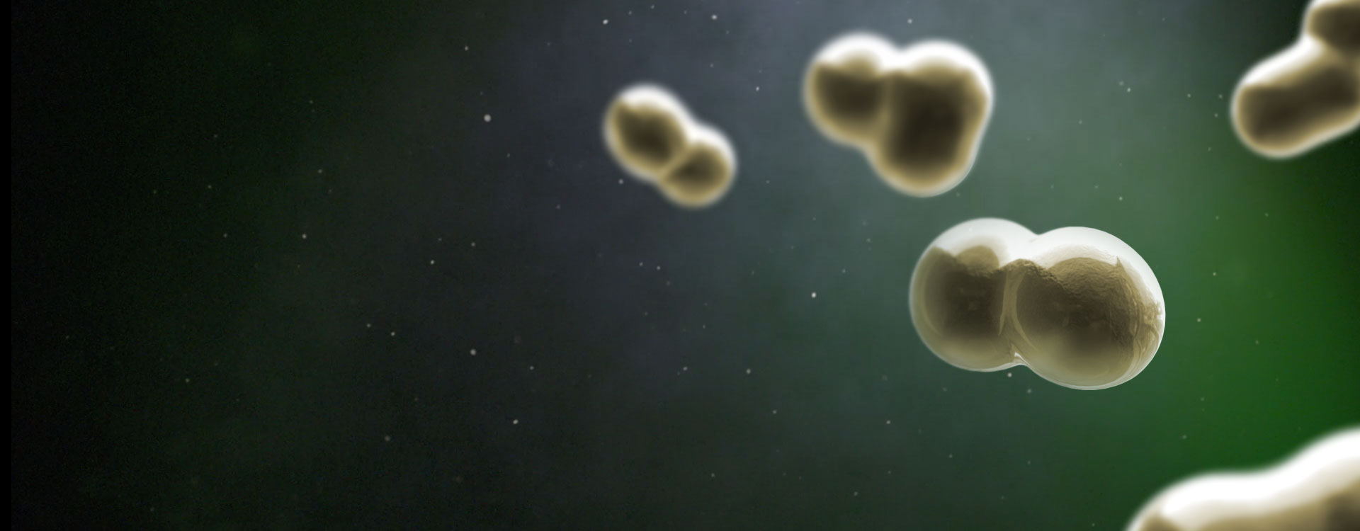 <h1>PHYTOSOME<sup>®</sup> AT A GLANCE</h1>