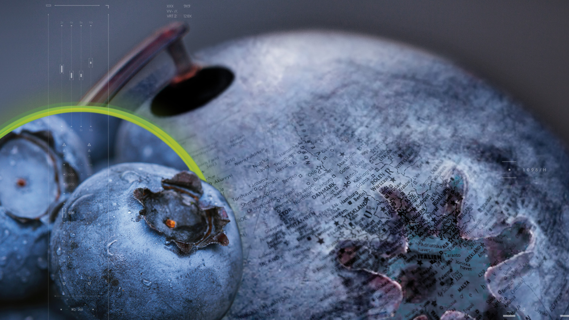 image-new-mirtoselect