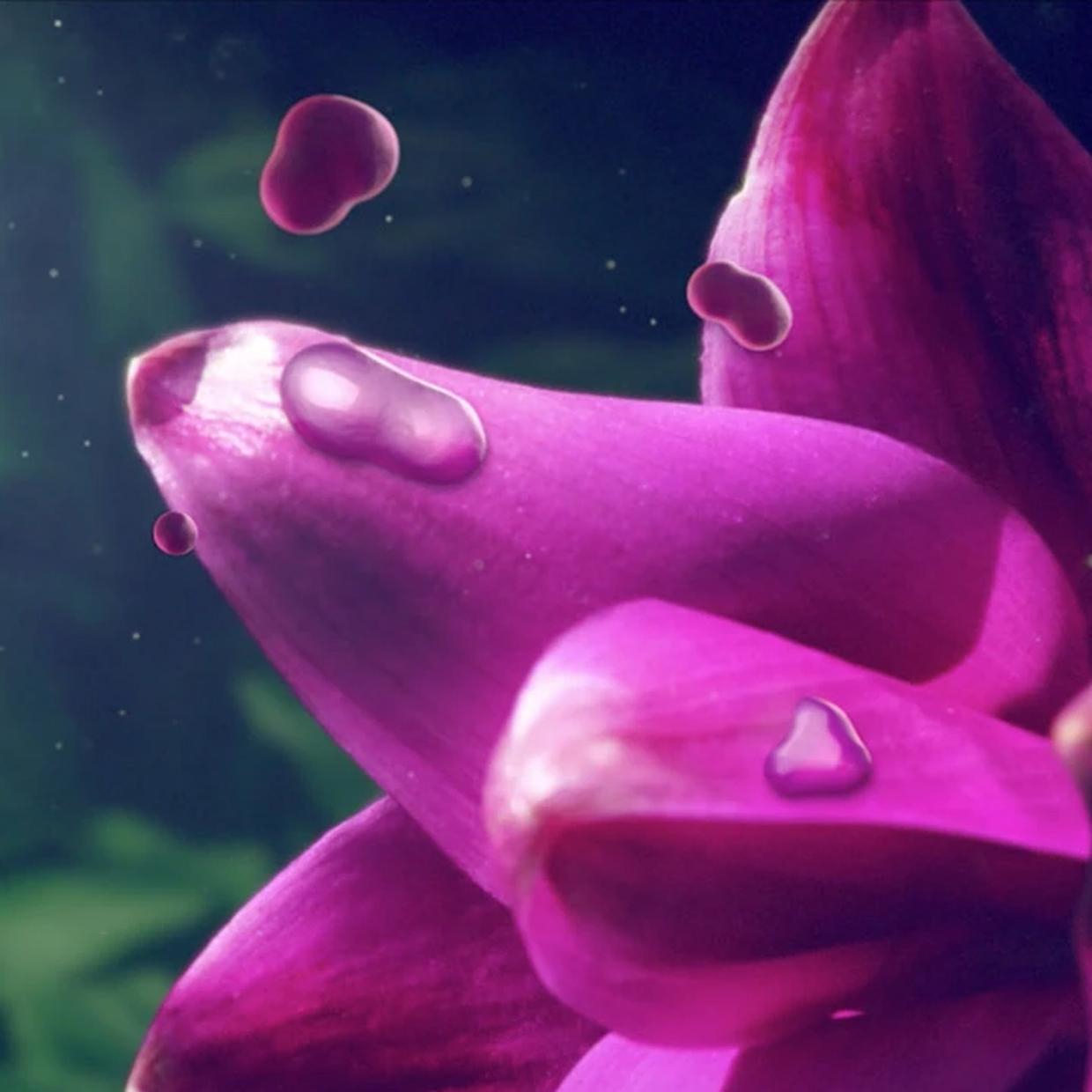 Find out how Meriva<sup>®</sup> <br>is one step beyond