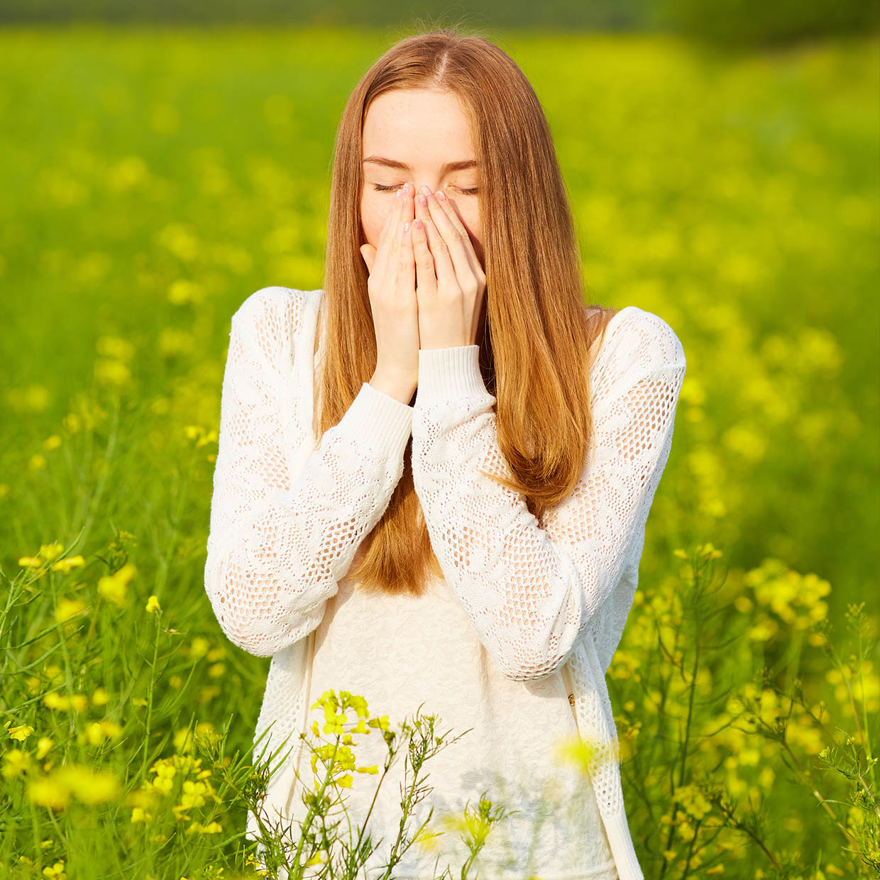 Quercefit<sup>®</sup> into action