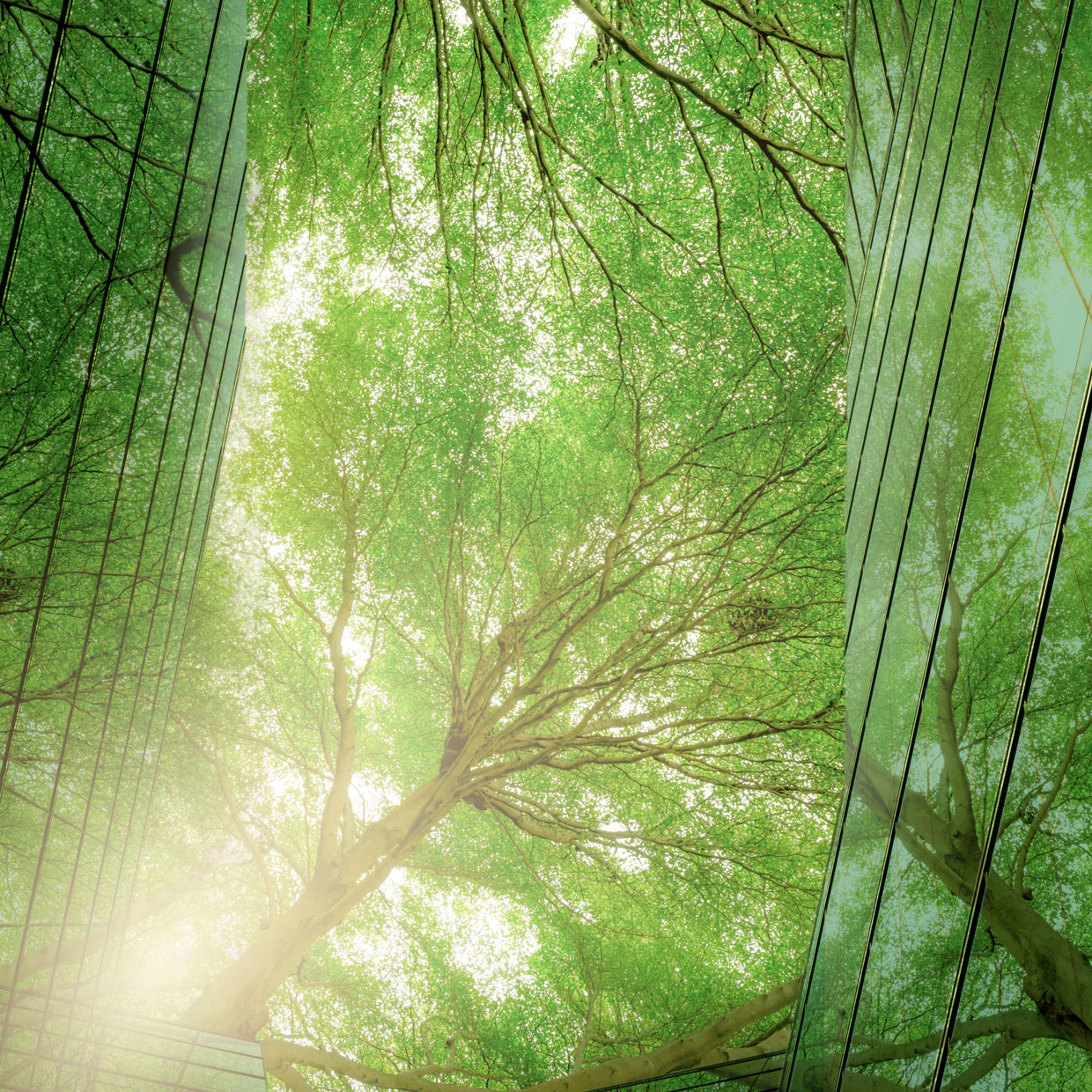 Opzione-2_shutterstock_2227403169