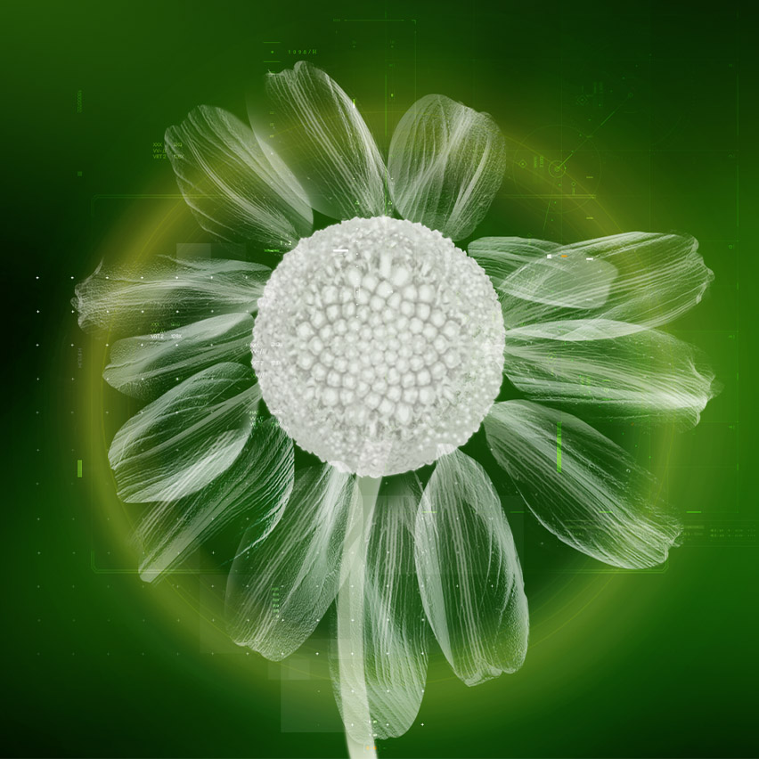 Social responsibility