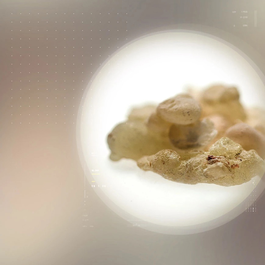 Casperome<sup>®</sup>