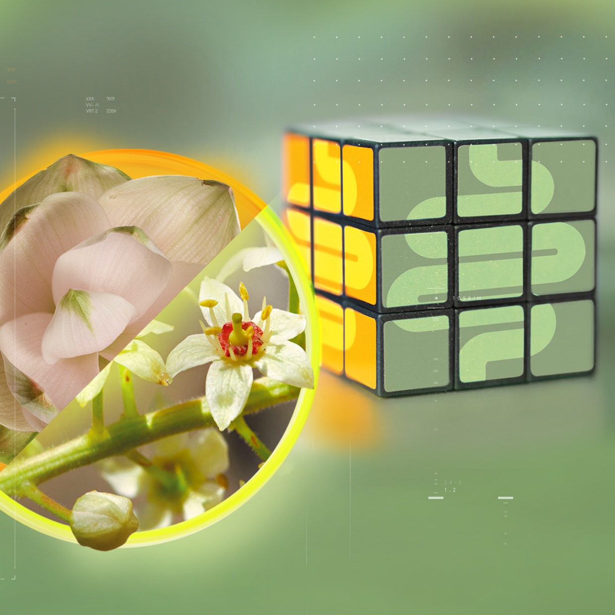 CUBO™ HELPS SOLVE THE ENIGMA OF BLOATING