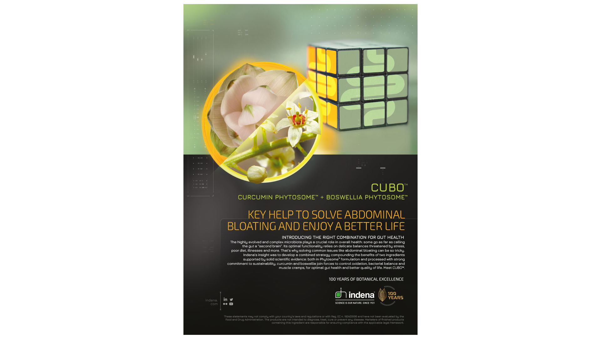 cubo-visualizzazione-adv-lg_TM2023