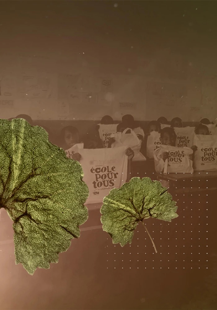 The Centella asiatica project