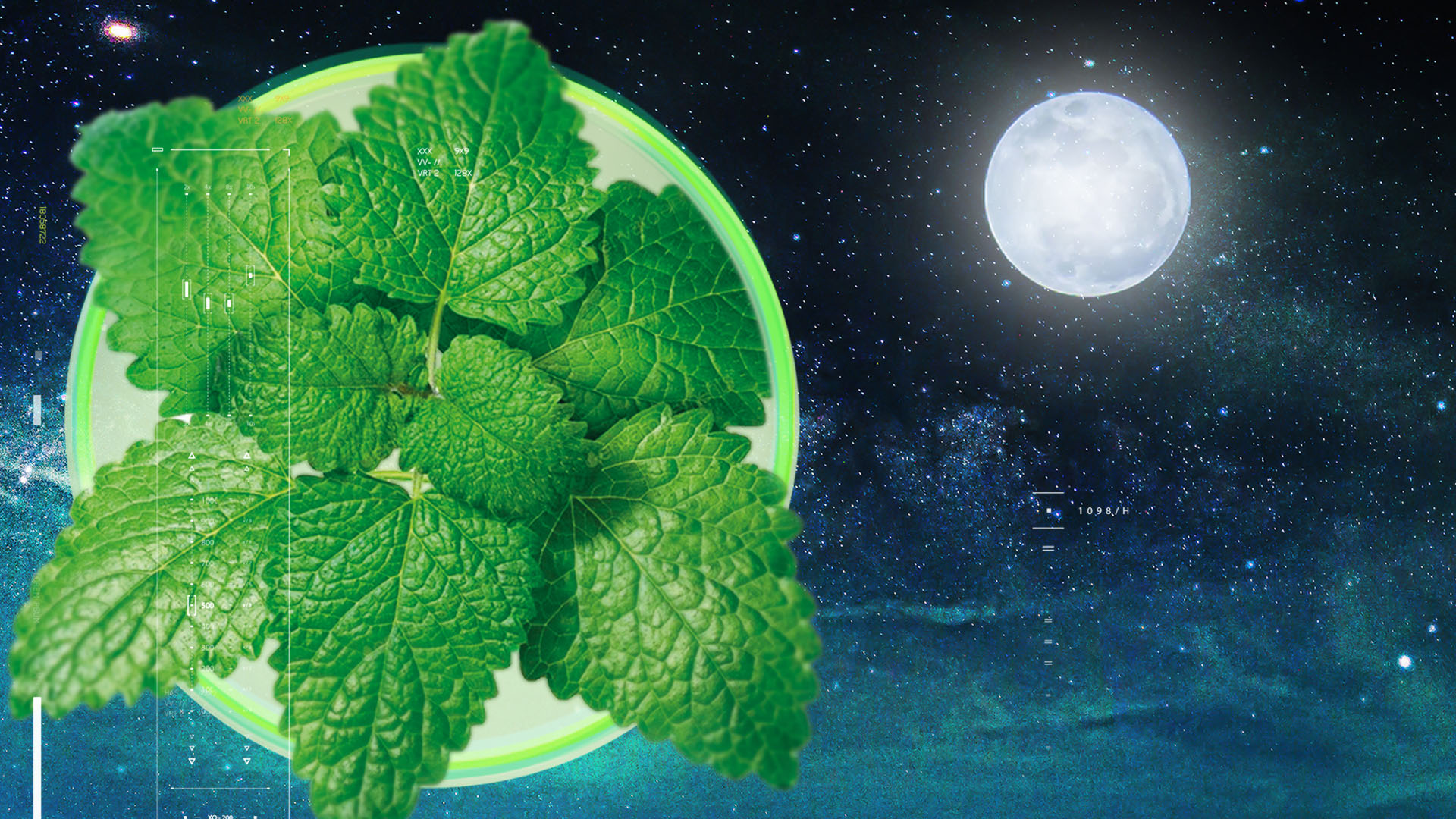 image-large-relissa-new