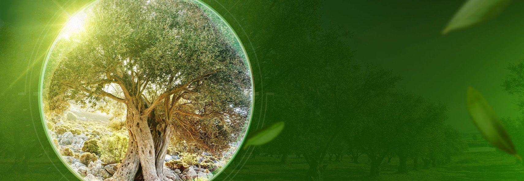 Discover where nature, technology and people merge