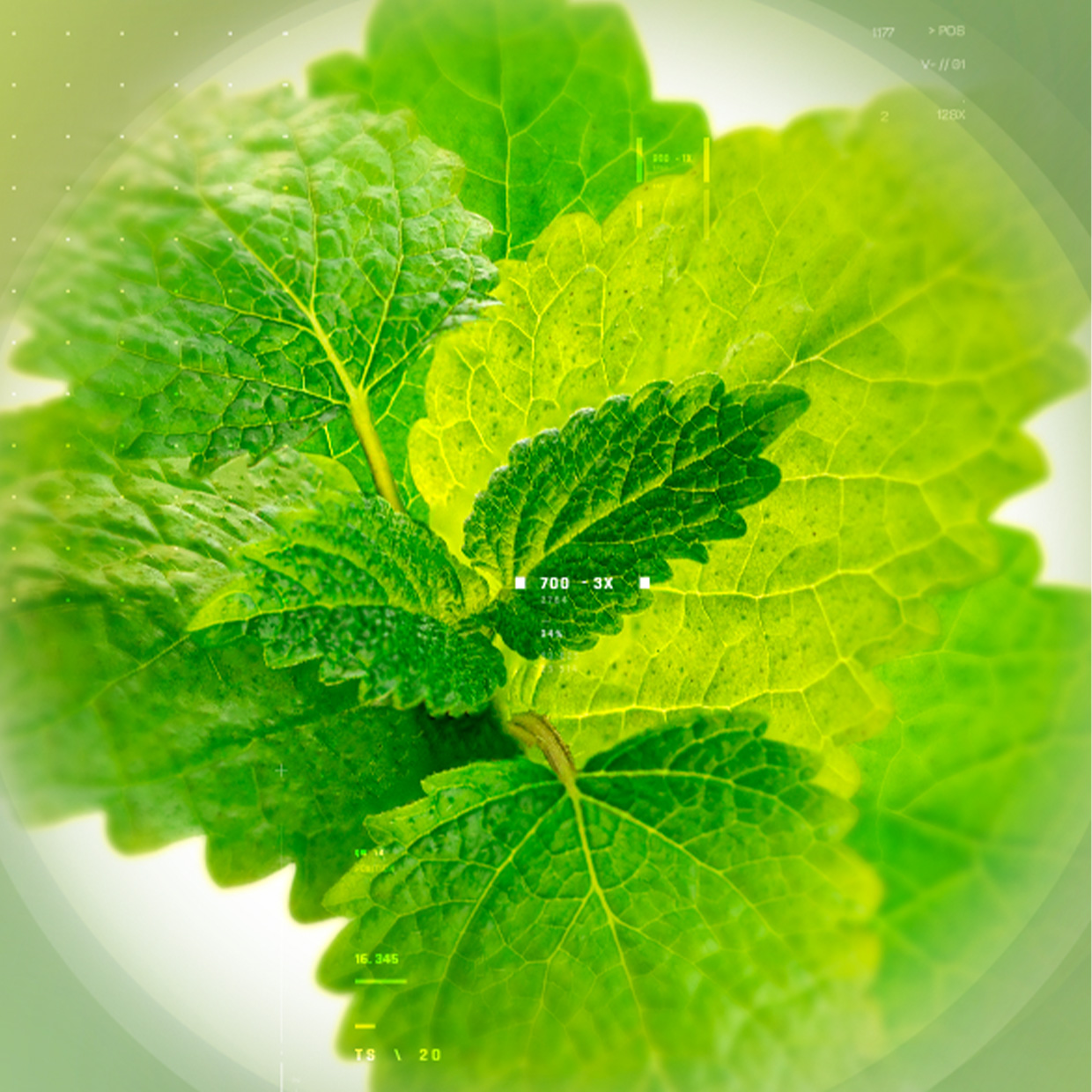 GOOD NIGHTS LEAD TO BETTER DAYS, WITH RELISSA™