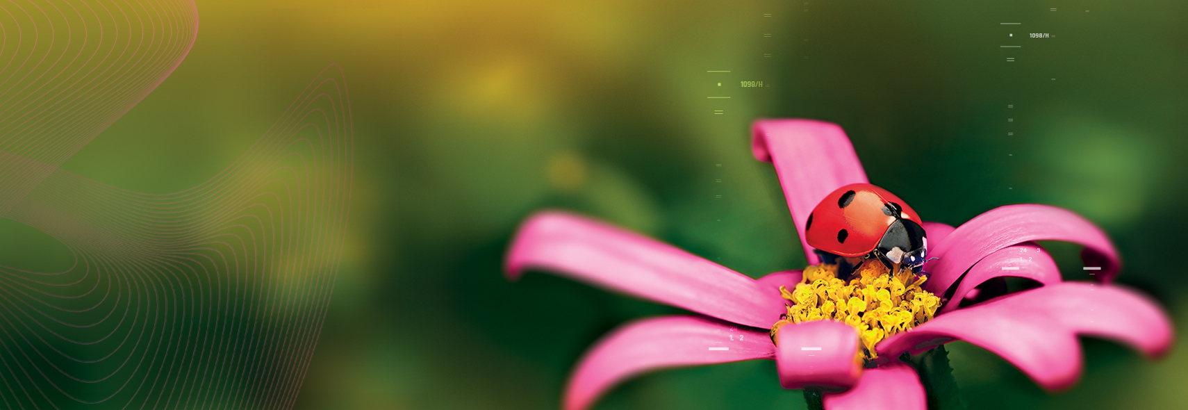 FEED YOUR MIND,<br>FILL YOUR LIFE