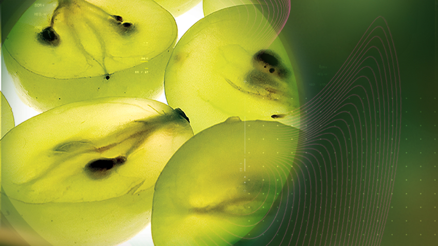 React with Enovita<sup>®</sup>