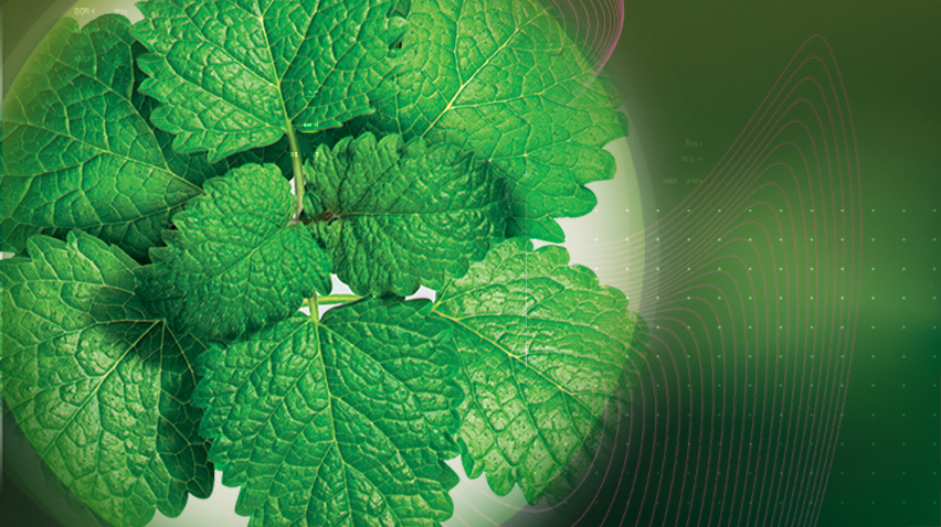 Relax with Relissa™