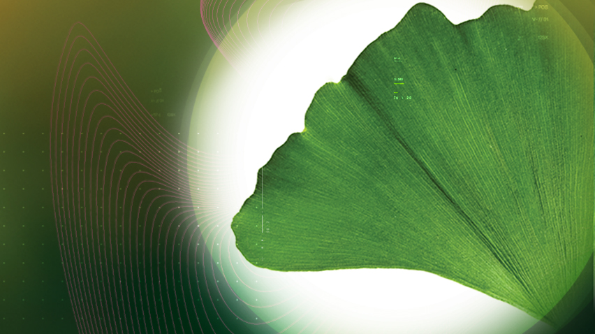 Remember with Virtiva<sup>®</sup> Plus