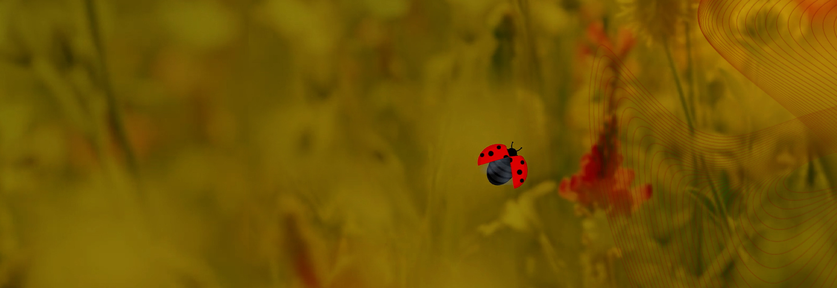 BRAIN HEALTH.<br>NATURE’S INTELLIGENCE WITHIN.