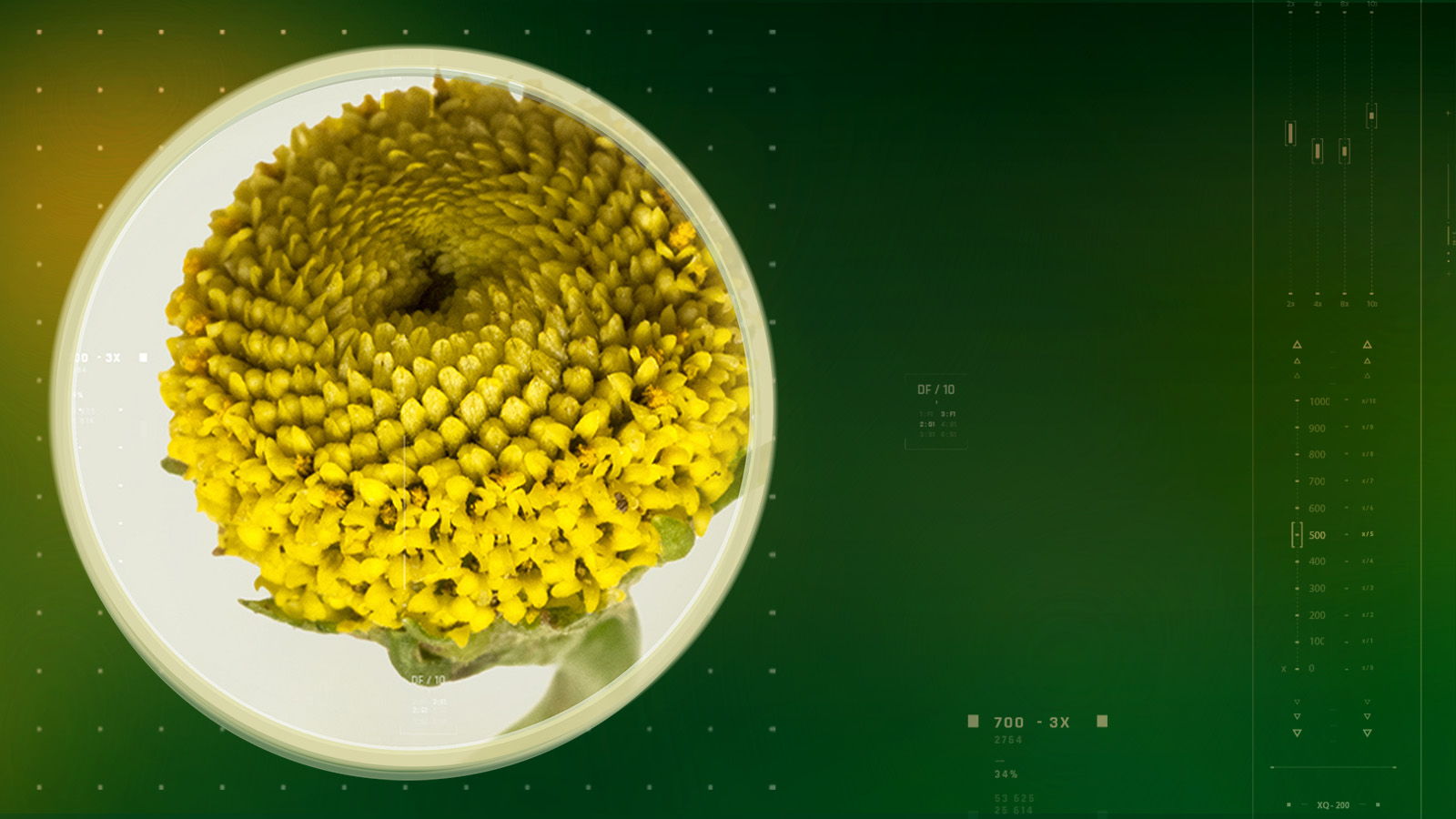 acmelain-slider-dsk-1600×900