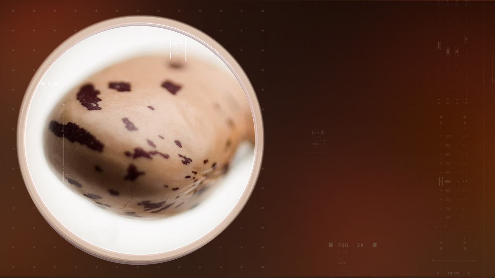 beanblock-slider-dsk-1600×900