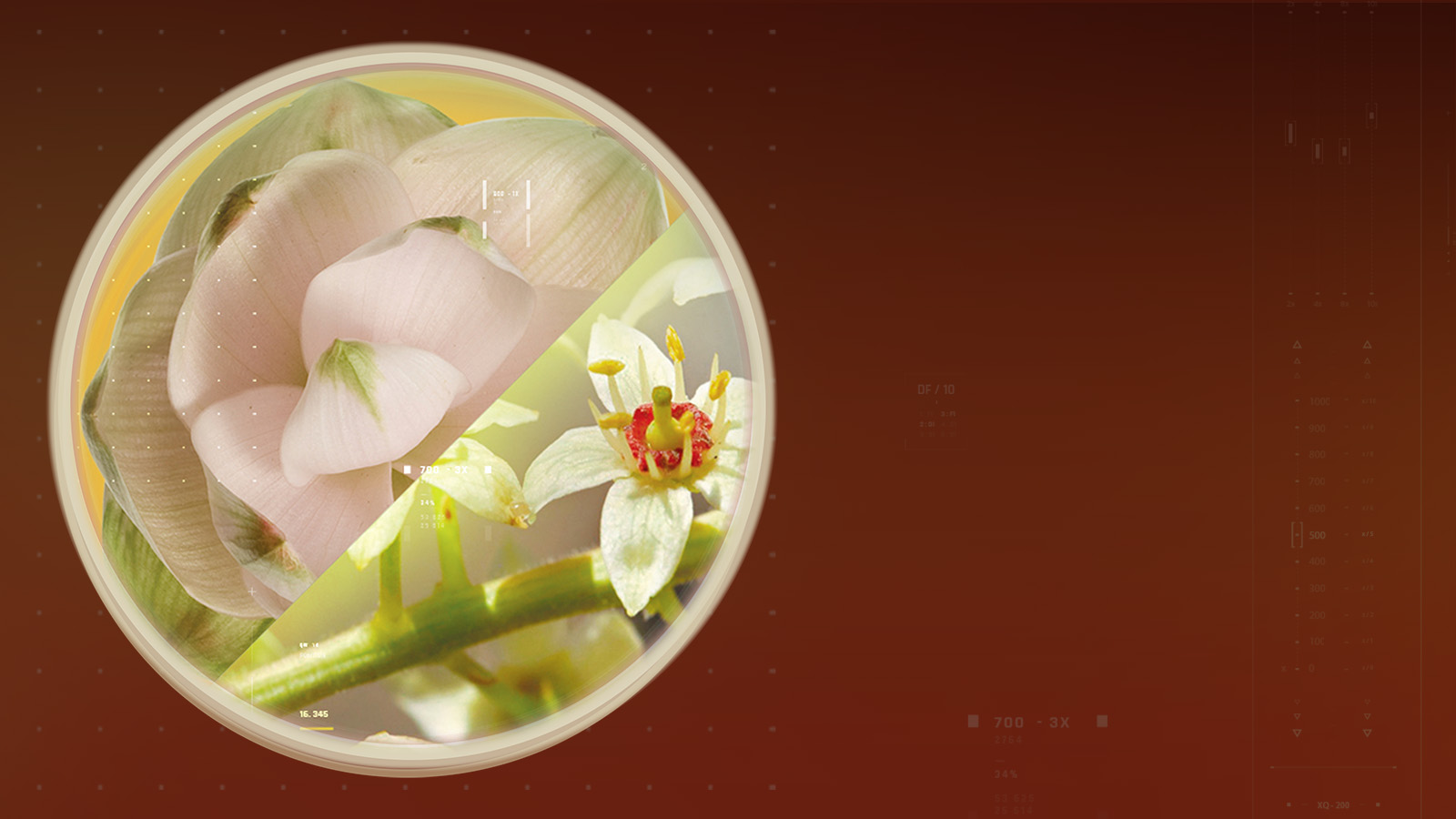 cubo-slider-dsk-1600×900