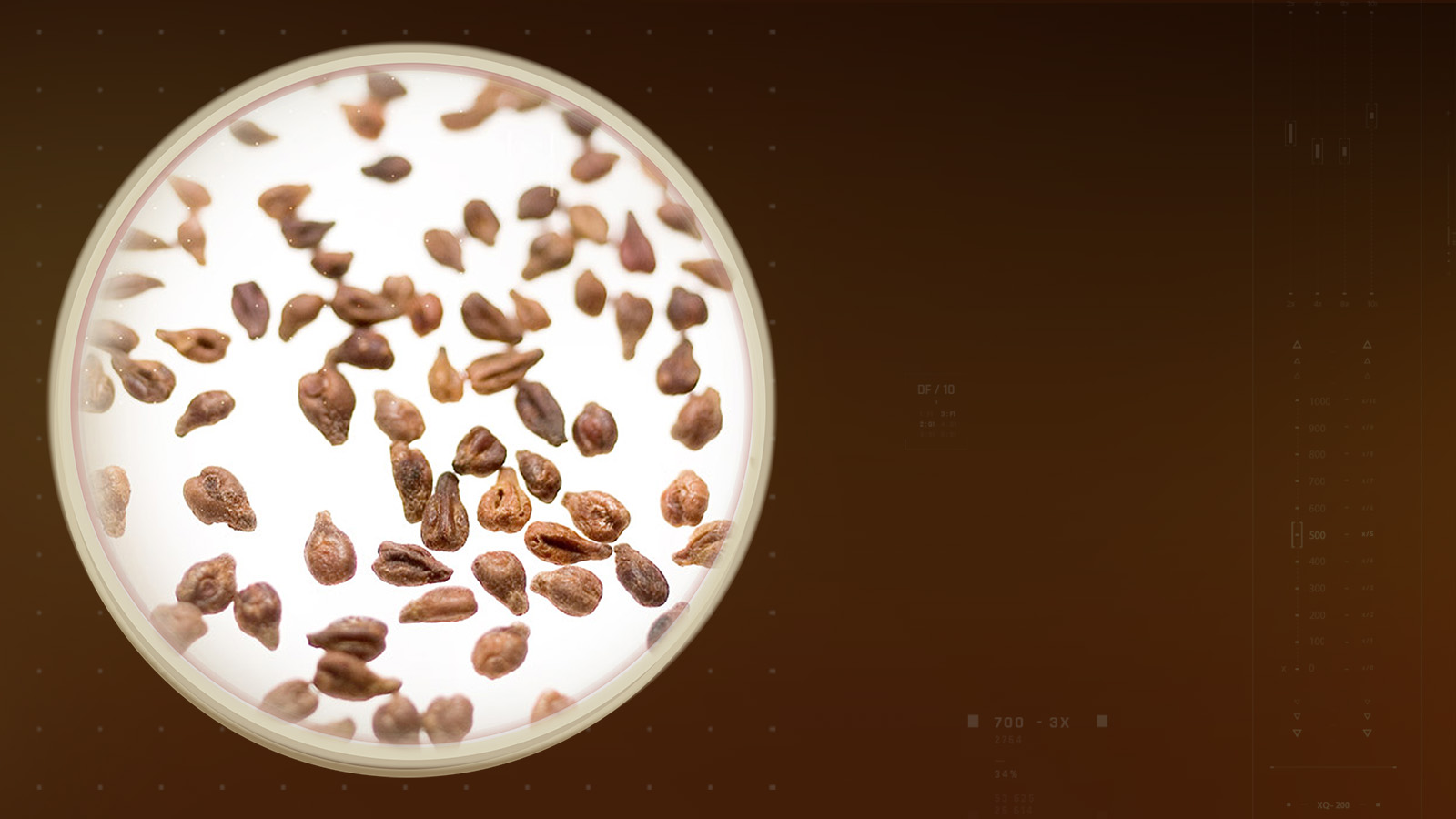 enovita-slider-dsk-1600×900