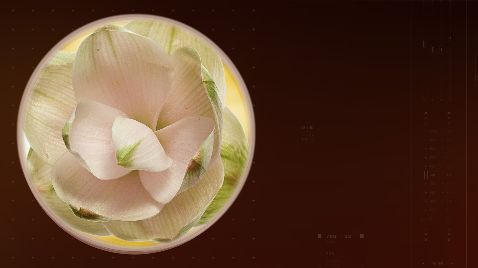 meriva-slider-dsk-1600×900