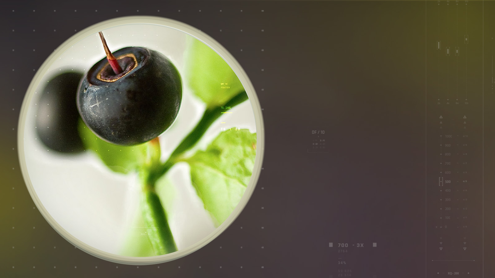 mirtoselect-slider-dsk-1600×900