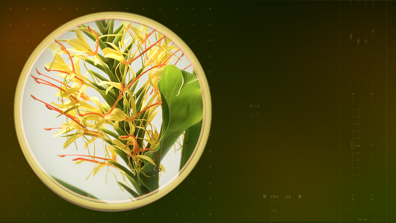 mitidol-slider-dsk-1600×900