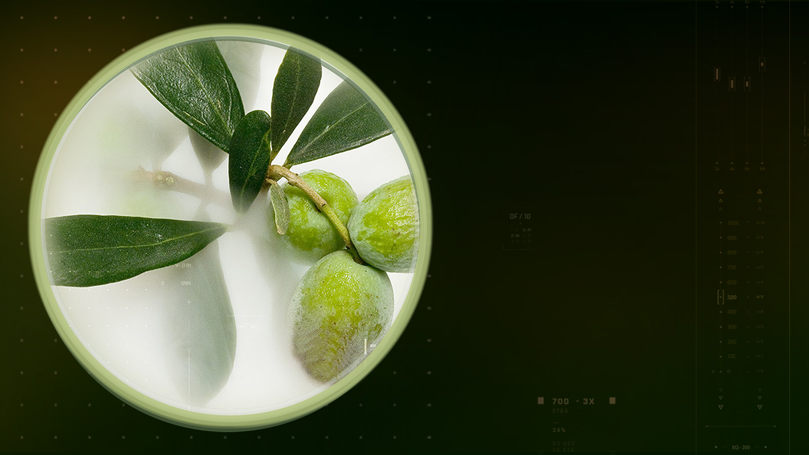 opextan-slider-dsk-1600×900