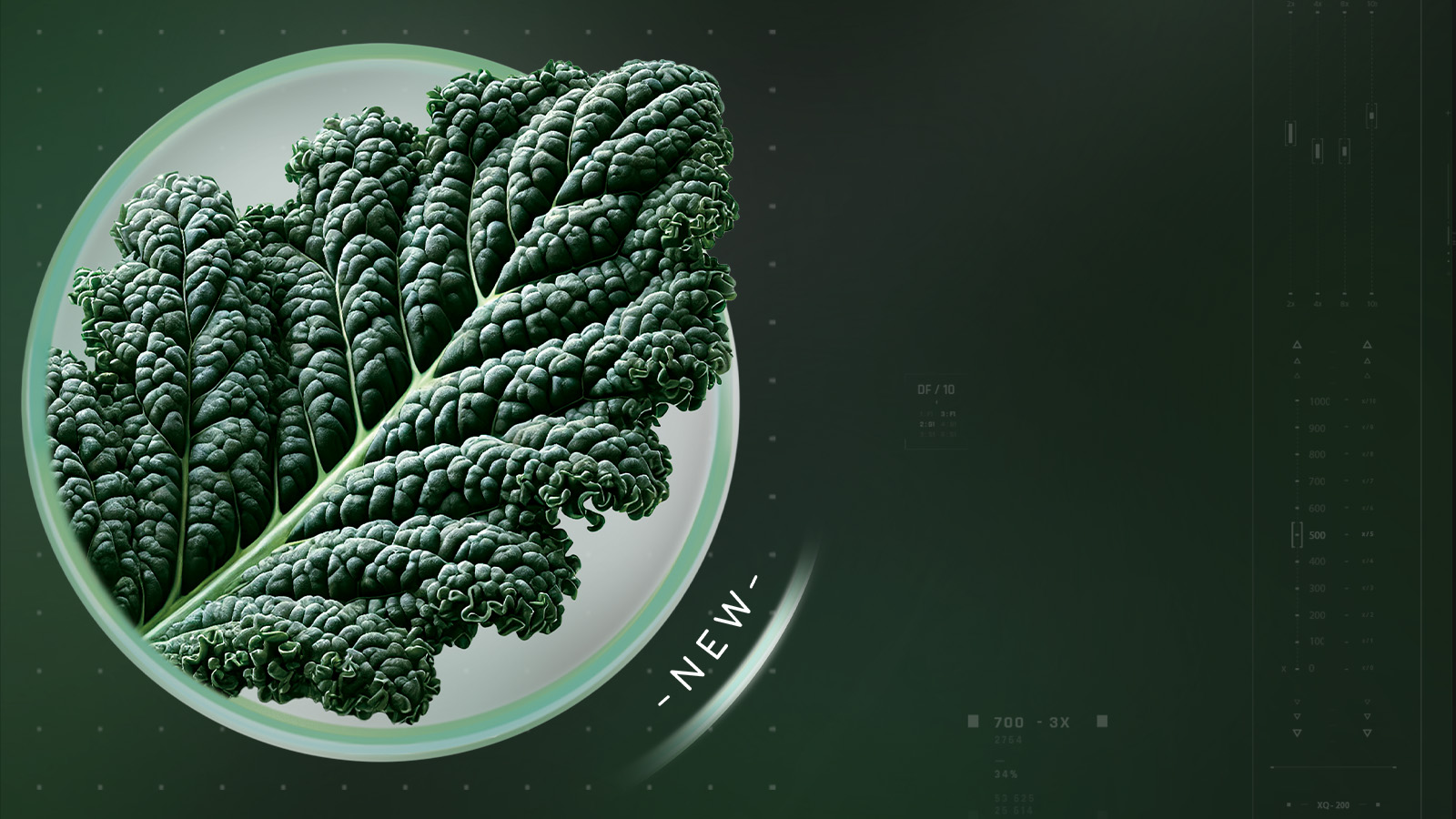 purebkale-slider-dsk-1600×900