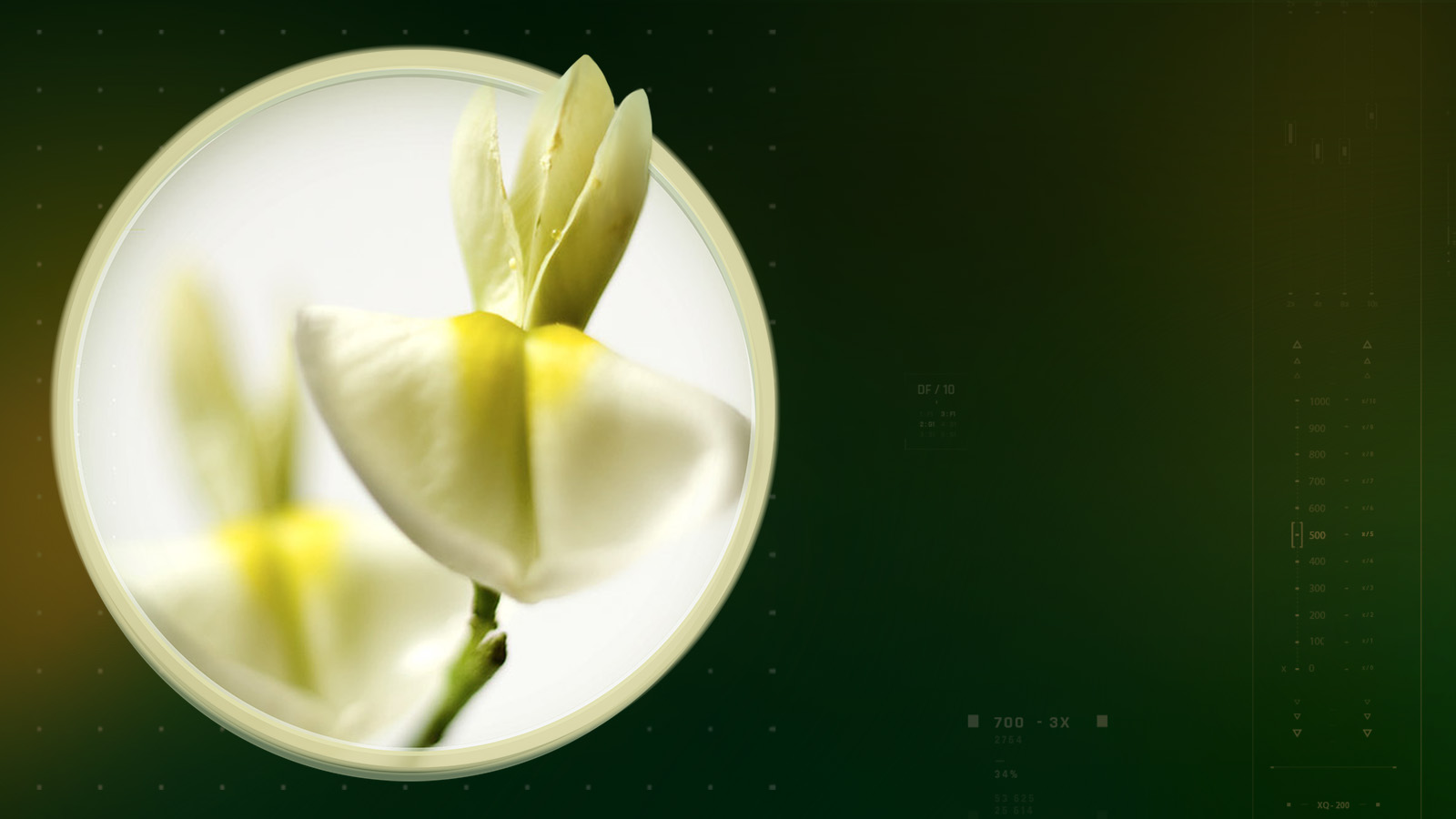 quercefit-slider-dsk-1600×900