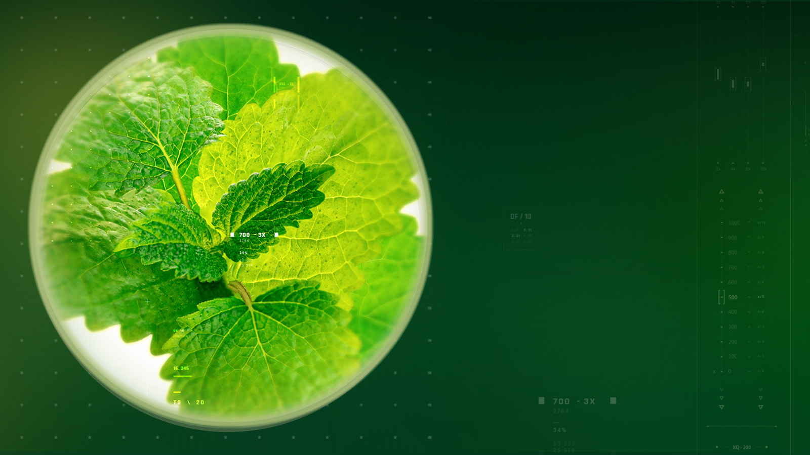 relissa-slider-dsk-1600×900