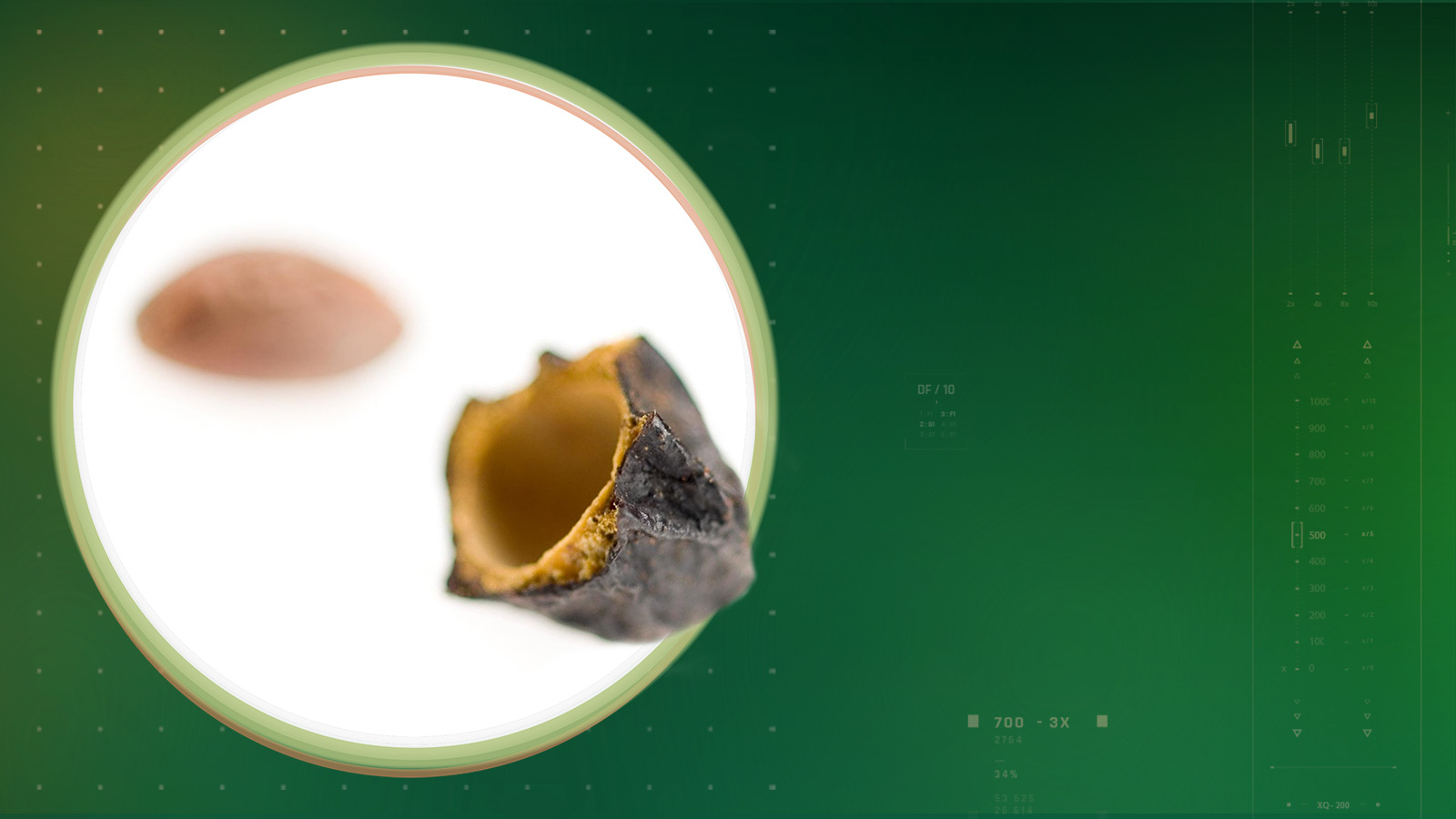 sabalselect-slider-dsk-1600×900