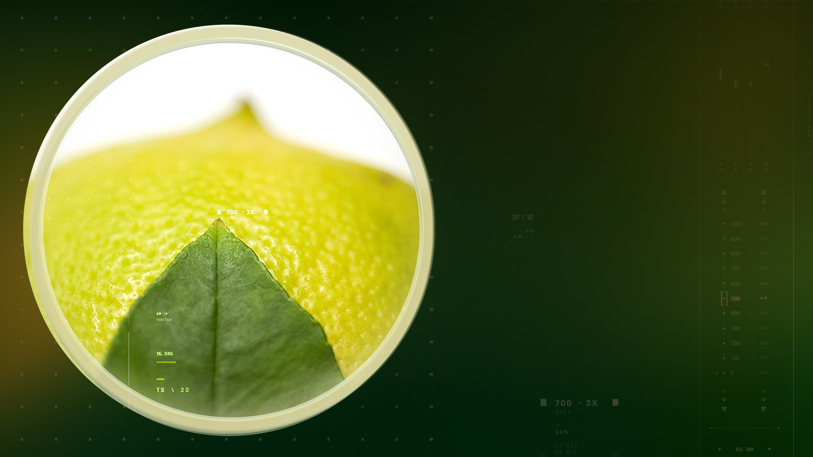 vazguard-slider-dsk-1600×900