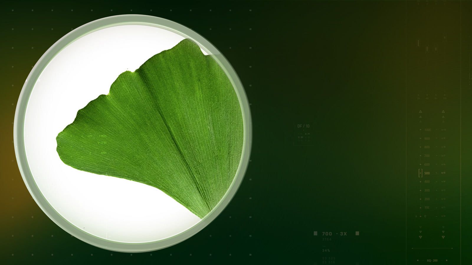 virtiva-plus-slider-dsk-1600×900