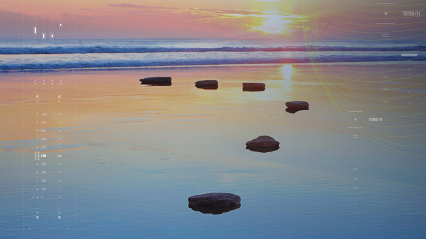 Weight loss companions