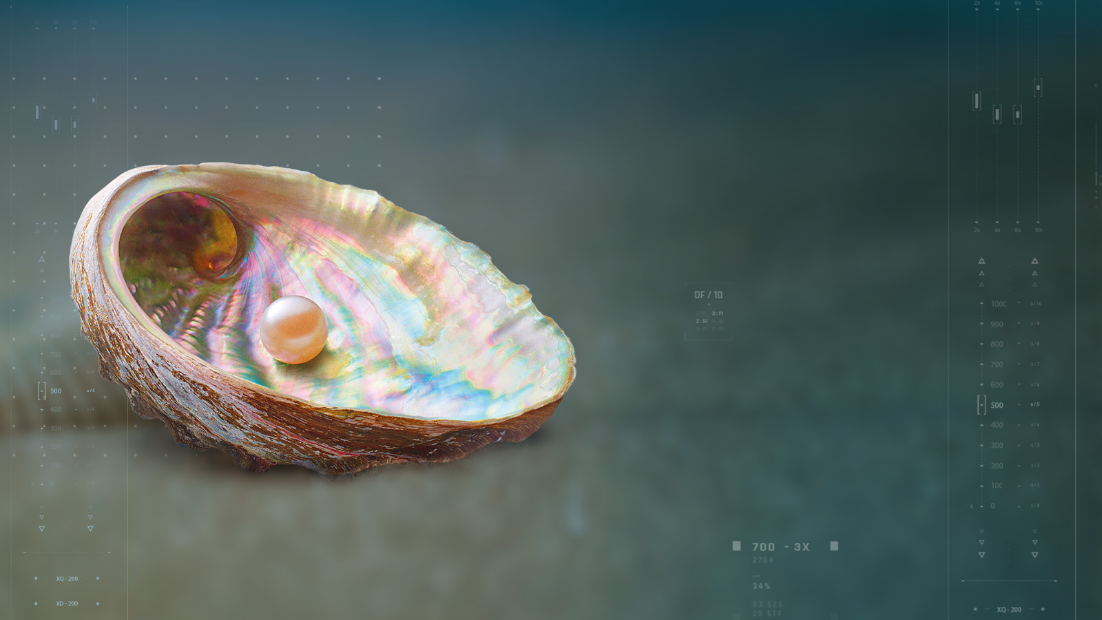 beauty-from-whitin-slider-dsk-1600×900-1